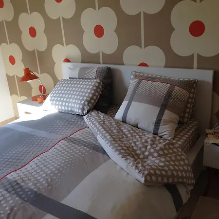 게스트하우스 Il Cinquino 로마